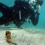 Discover Scuba Diving in San Juan - The Facilities and Equipment