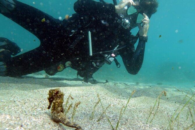 Discover Scuba Diving in San Juan - The Facilities and Equipment