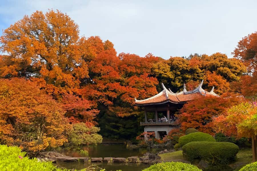 Discover the History of Shinjuku Gyoen-Private Walking Tour - Who Will Love This Tour?