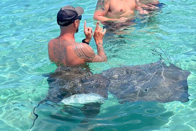 Discover the unspoilt sites of the lagoon DE Moorea - What the reviews reveal about the tour