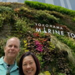 Discover Yokohama's Best: Your Private 4/8 Hour Shore Excursion! - Value and Practicality