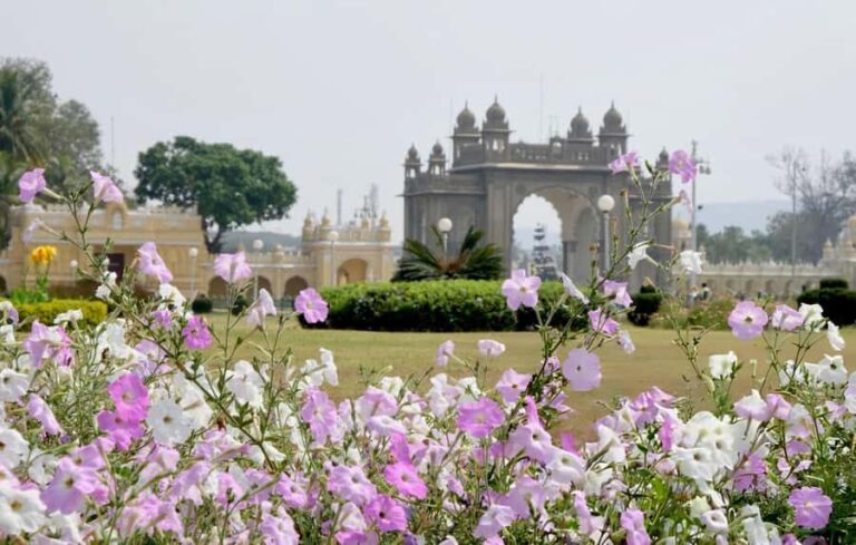 Discovering Mysore's Natural Wonders: Guided Half Day Tour - Practicalities and What to Expect