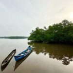 Divar Island excursion with Local residents on Nature and Culture - Analyzing the Value