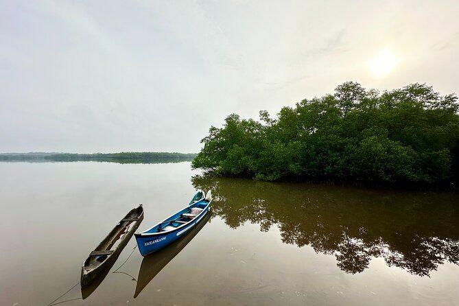 Divar Island excursion with Local residents on Nature and Culture - Analyzing the Value