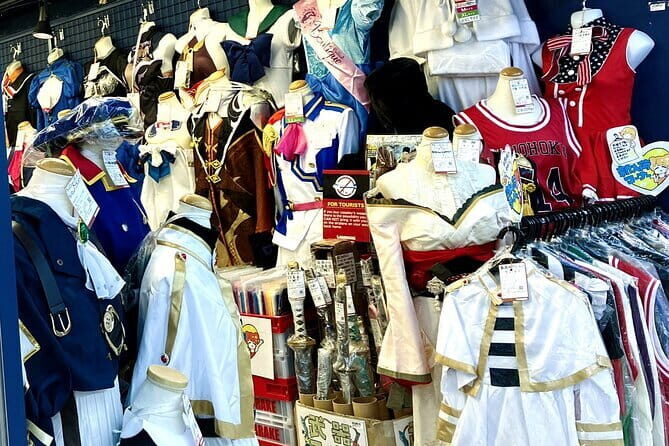 Dive Deep into Anime & Manga Culture & Karaoke in Nakano - Final Thoughts: Is This Experience Worth It?