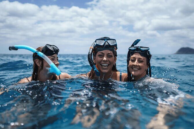 Dive Into Paradise: Snorkel Adventure at Paradise Cove - Itinerary Breakdown and Highlights