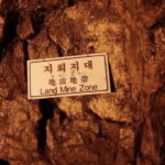 DMZ 2nd tunnel & Y Shaped Suspension Bridge Tour from Seoul - The Practical Side: Transportation, Guides, and Price