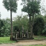 Dmz Group Tour Full Day - Transportation and Group Dynamics