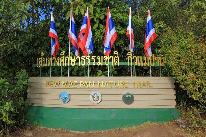 Doi Inthanon National Park and Hiking Kew Mae Pan Trail - What Travelers Are Saying