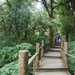 Doi Inthanon Summit Waterfalls and Hill Tribe Day Tour - The Experience in Detail