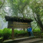 Doi Inthanon Waterfalls Rice Fields Tour from Chiang Mai - Is This Tour Right for You?