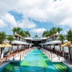 Dolphin Day Cruise: Halong Bays Finest Luxury Escape from Harbor - Who Would Love This Cruise?