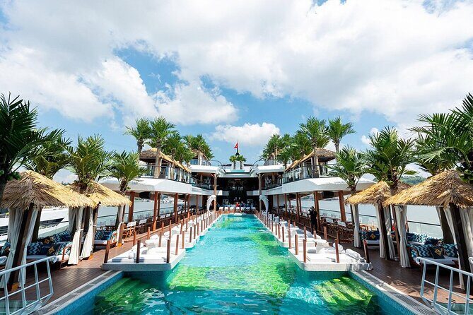 Dolphin Day Cruise: Halong Bays Finest Luxury Escape from Harbor - Who Would Love This Cruise?