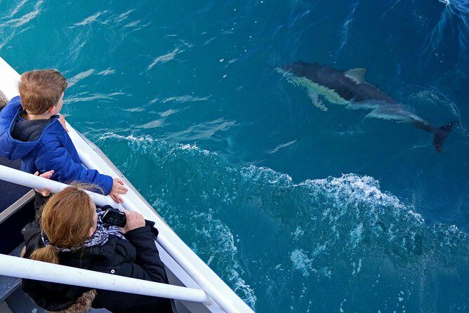 Dolphin & Whale Cruise - Why This Tour Offers Great Value