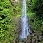 Dominica Adventure Hiking, Swimming, and Hot Springs Tour - The Enchanting Titou Gorge: Swimming Through a Tropical Wonderland