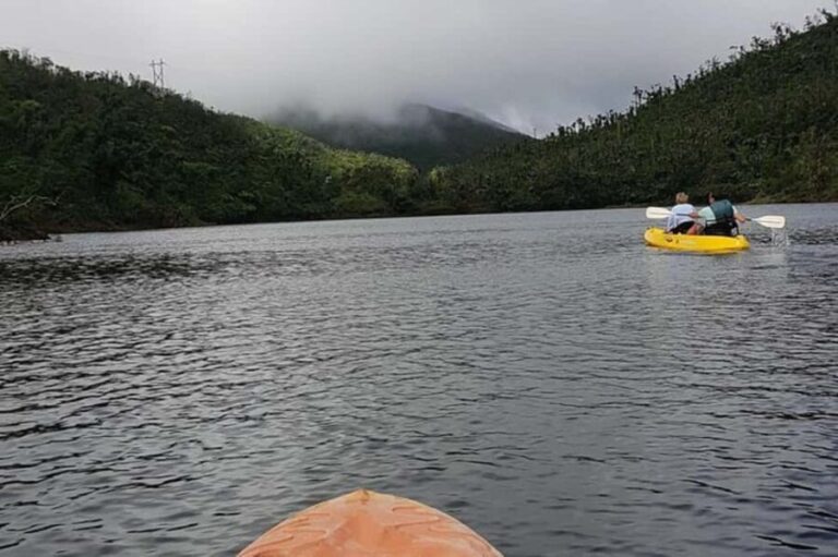 Dominica: Get Set Wet Day Tour - The Sum Up