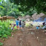 Dominica: Local Bush Rum Bar, Waterfall and River Pool Tour - Practical Details & Tips