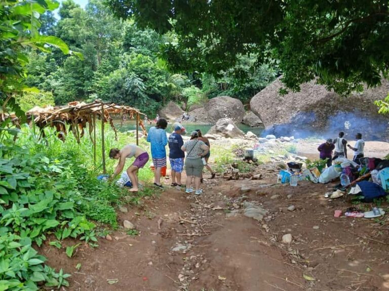 Dominica: Local Bush Rum Bar, Waterfall and River Pool Tour - Practical Details & Tips