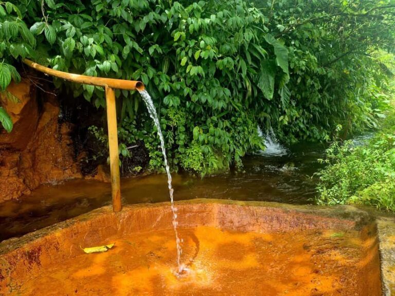 Dominica: Middleham Falls, Titou Gorge, and Trafalgar Falls - Final Thoughts: Is This Tour Right For You?