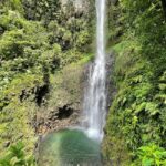 Dominica: Rain Forest Adventure with Waterfall Swim - The Majestic Middleham Waterfall