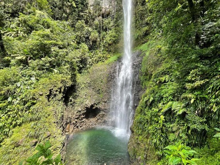 Dominica: Rain Forest Adventure with Waterfall Swim - The Majestic Middleham Waterfall