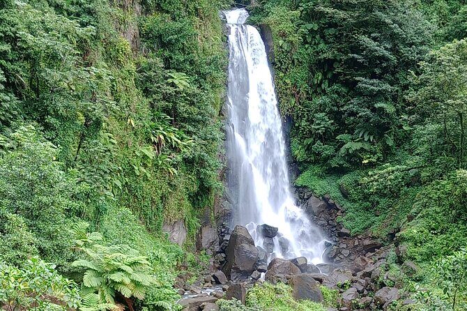 Dominica Scenic Waterfalls and Hot Springs @ Autop Tours - Why Travel With Autop Tours?