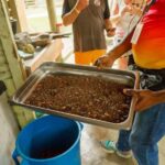 Dominican Culture & Buggy Family Adventure from Punta Cana - What Makes This Tour Stand Out