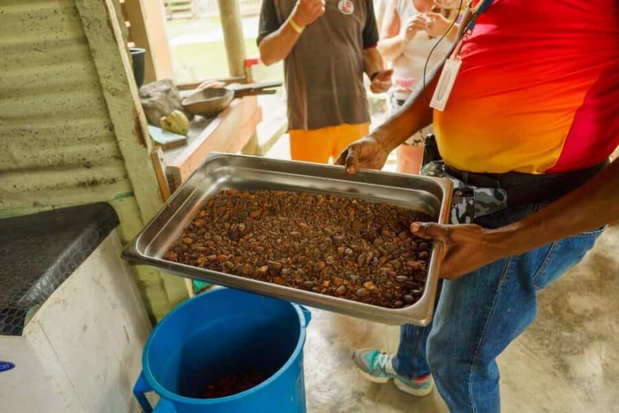 Dominican Culture & Buggy Family Adventure from Punta Cana - What Makes This Tour Stand Out