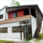 Dominican Republic Cacao Plantation Tour - Why the Ecosystem Matters