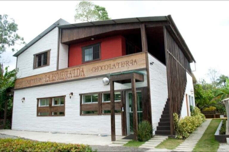 Dominican Republic Cacao Plantation Tour - Why the Ecosystem Matters