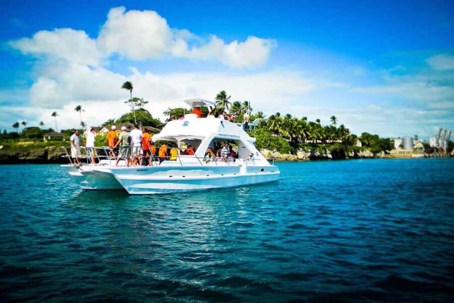 Dominican Republic: Catalina Island VIP Scuba Diving - What Makes This Tour Truly Valuable