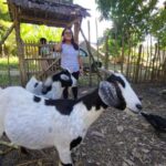 Dominican Republic Countryside Safari Tour from Puerto Plata - Practical Details and Tips