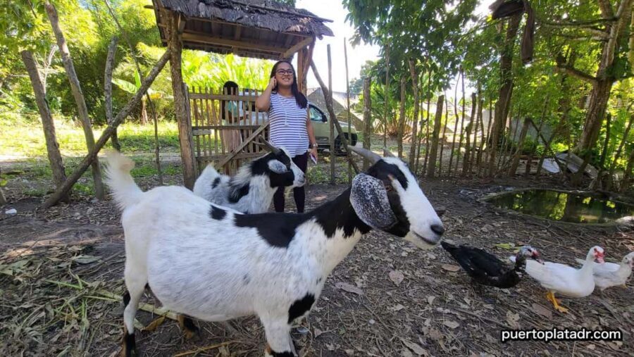 Dominican Republic Countryside Safari Tour from Puerto Plata - Practical Details and Tips