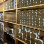 Don Lucas Cigar Factory & Store + Premium Rum Tasting (3 hours) - The Sum Up