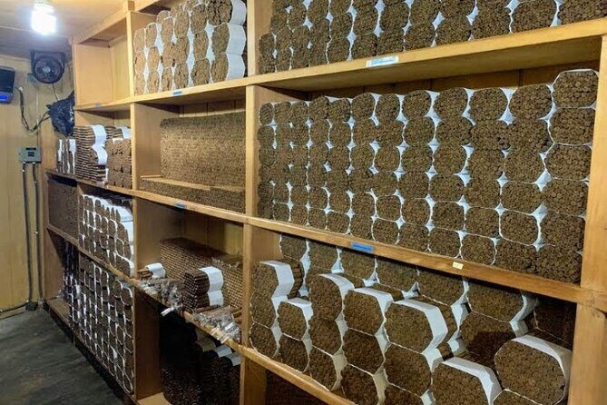 Don Lucas Cigar Factory & Store + Premium Rum Tasting (3 hours) - The Sum Up