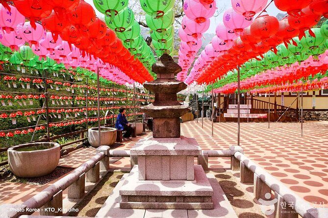 Donghaksa Temple Cherry Blossom and Jeonju Hanok Village - Why This Tour Offers Great Value