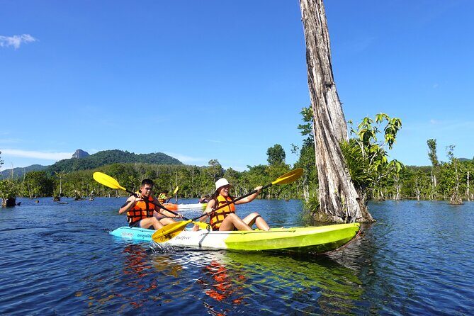 Dragon Crest Sunrise Hike and Klong Root Kayaking Private Tour - The Sum Up