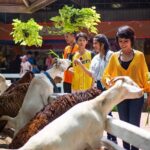 Dream World Bangkok Amusement Park Unlimited Ride & Snow Town - Is This Tour Worth It?