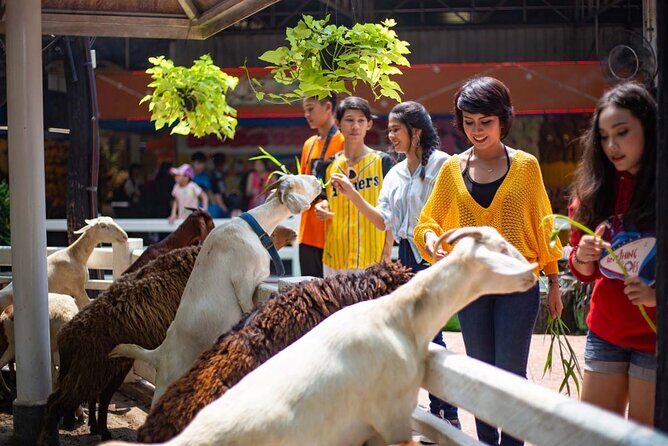 Dream World Bangkok Amusement Park Unlimited Ride & Snow Town - Is This Tour Worth It?