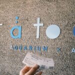 Dreamy Day Trip in Kobe - Authentic Experiences and Reviewer Insights