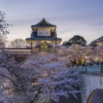 Drum Workshop Tour with Sake Brewery Meal in Kanazawa - Final Thoughts