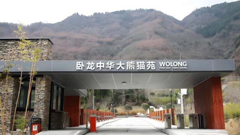 Dujiangyan: Wolong Shenshuping Panda Garden Ticket - The Journey to Wolong Shenshuping