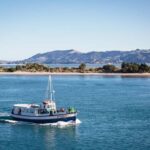 Dunedin: Monarch - One Hour Wildlife Cruise - Why This Tour Stands Out