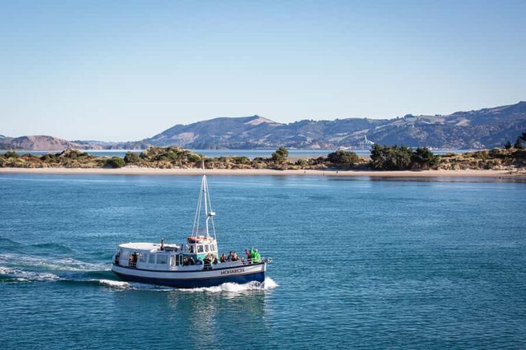 Dunedin: Monarch - One Hour Wildlife Cruise - Why This Tour Stands Out