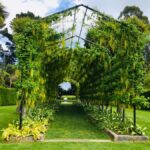 Dunedin: Peninsula with Lanarch Castle gardens & Olveston - Why This Tour Delivers Value