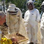 Dunedin Private Tour: City Sights & Otago Peninsula - Who Will Love This Tour?