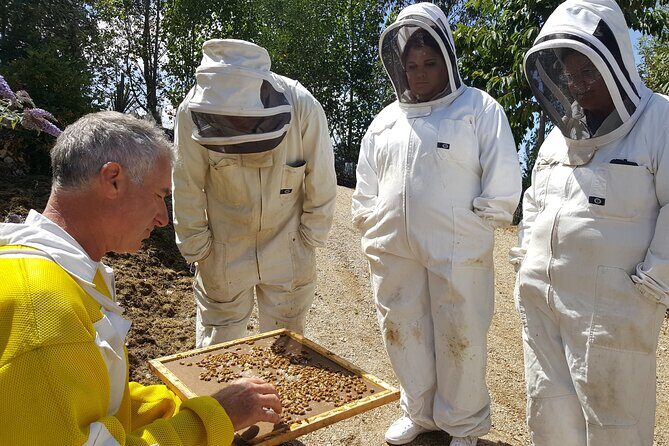 Dunedin Private Tour: City Sights & Otago Peninsula - Who Will Love This Tour?