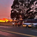 Dunedin to Invercargill via the Catlins 1 Way Small Group Tour - What Does the Price Cover and Why Is It Worth It?