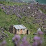 Dunedin to Queenstown One Way Tour Including Taieri Gorge Train - What’s Included and What to Consider