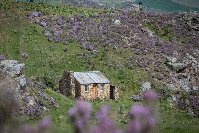 Dunedin to Queenstown One Way Tour Including Taieri Gorge Train - What’s Included and What to Consider